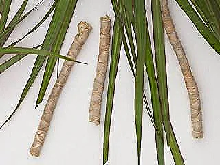 kutleli-kamis-uzerindeki-sorunlar