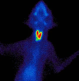 Join the iCatCare Community