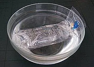 Join the iCatCare Community