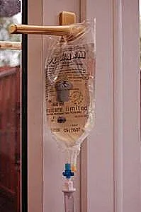 Join the iCatCare Community