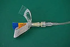 Join the iCatCare Community